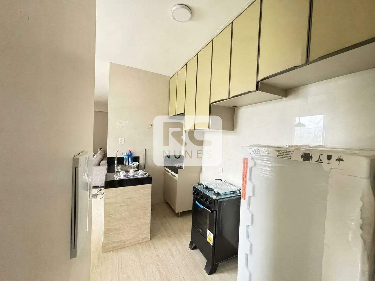 Apartamento para aluguel no Santa Lúcia: 