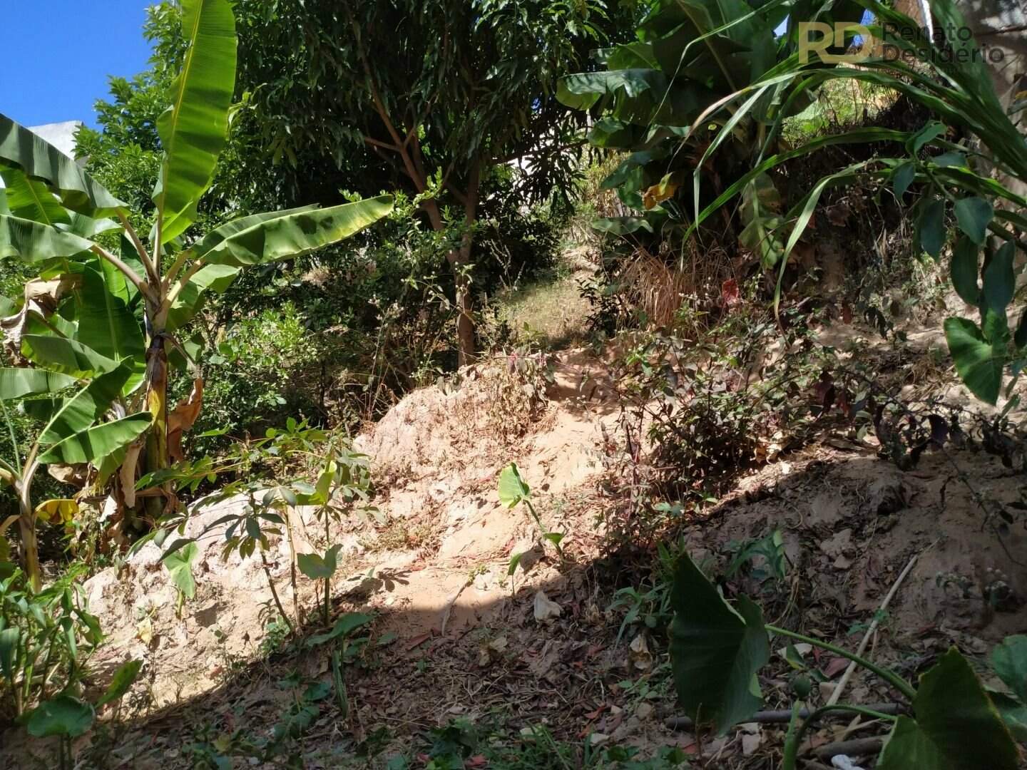 Casa à venda no Vera Cruz: | Foto_migracao | 2