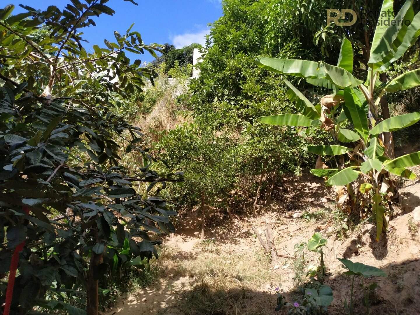 Casa à venda no Vera Cruz: | Foto_migracao | 1