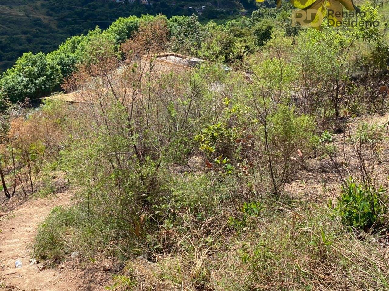 Terreno à venda no Pirineus: 