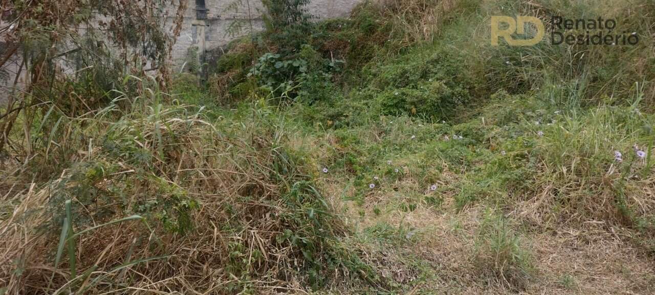 Terreno à venda no Ana Lúcia: 