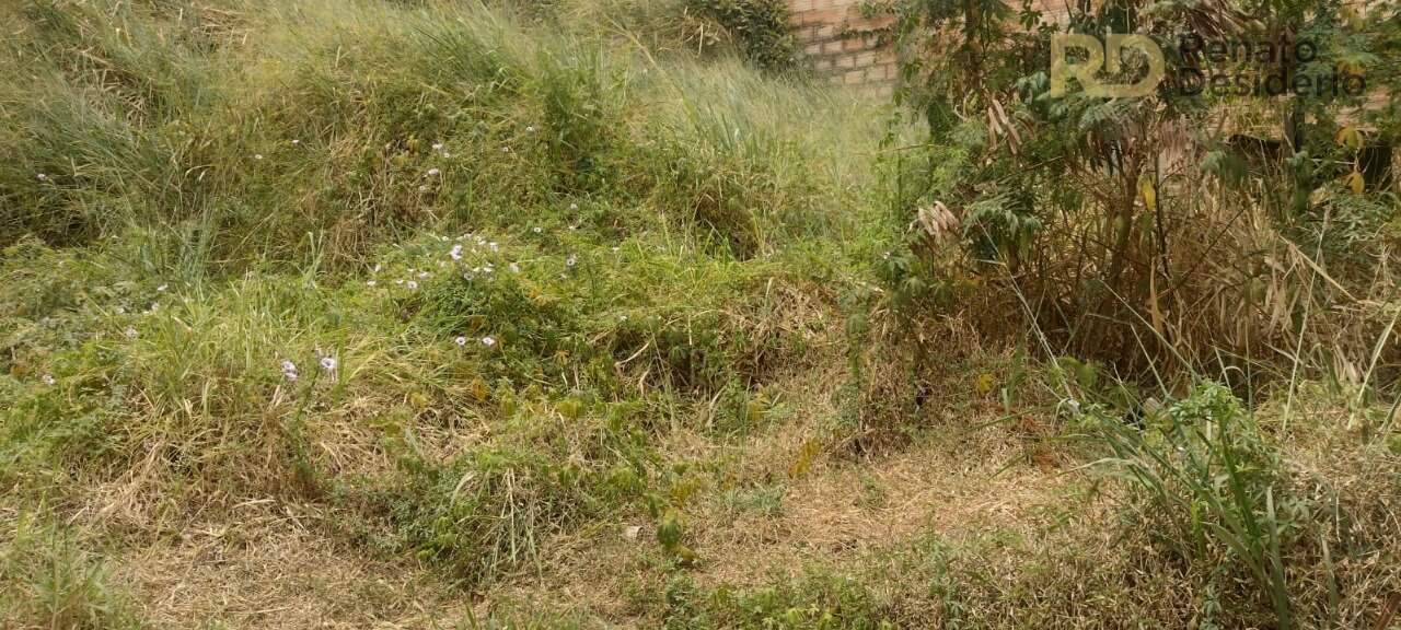 Terreno à venda no Ana Lúcia: 