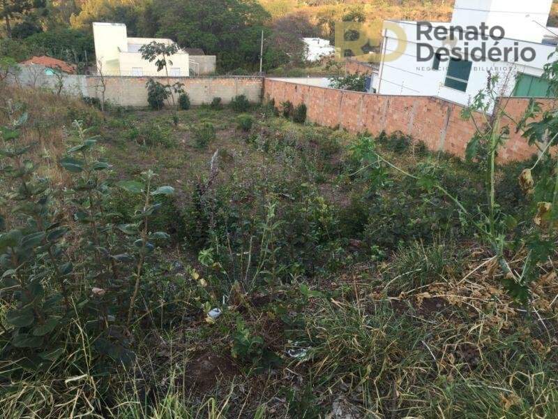 Terreno à venda no Taquaril: | Foto_migracao | 6