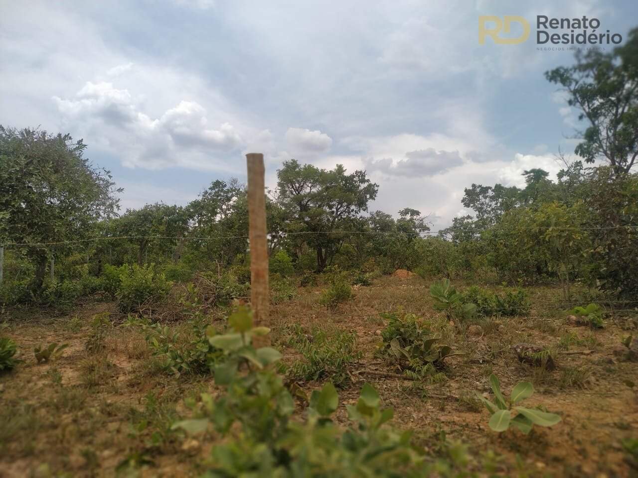 Área à venda no Capão Grande: 