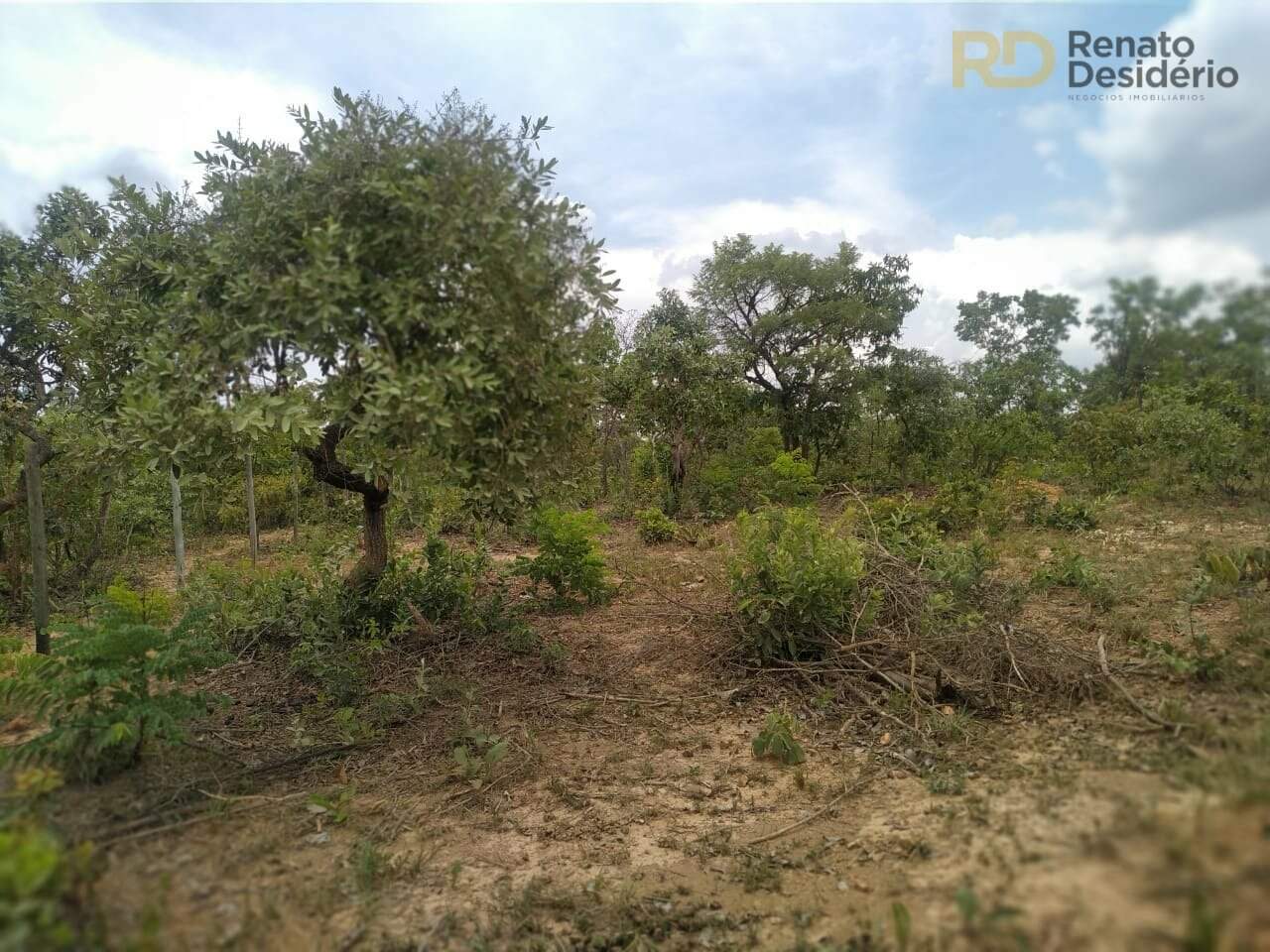 Área à venda no Capão Grande: 