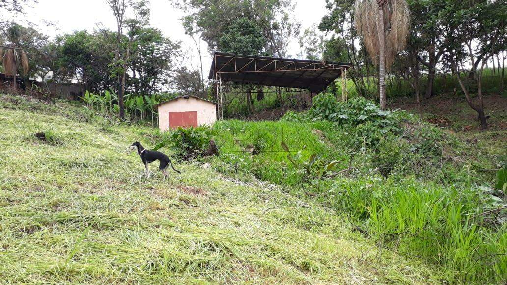 Terreno à venda no Vista Alegre: 