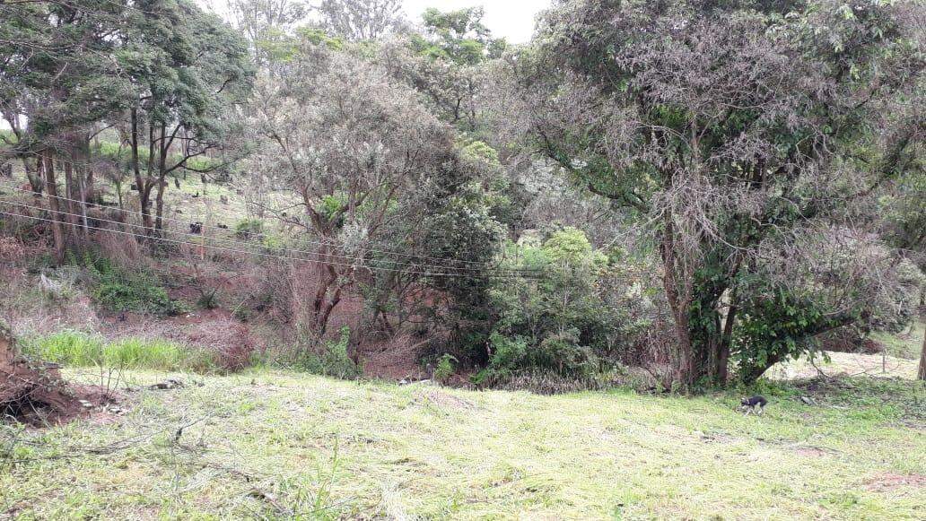 Terreno à venda no Vista Alegre: 