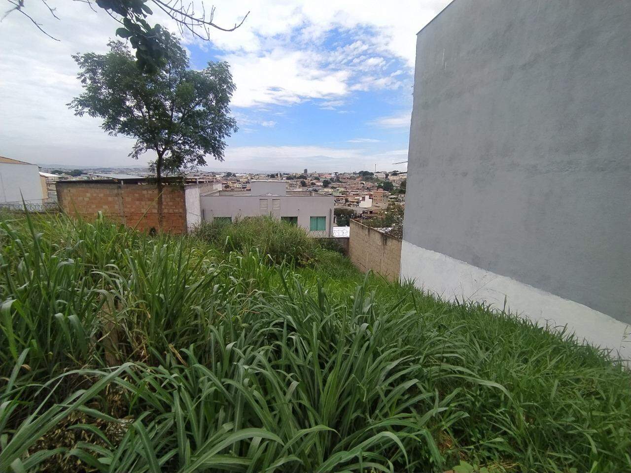 Terreno / Área à venda no Cândida Ferreira: 