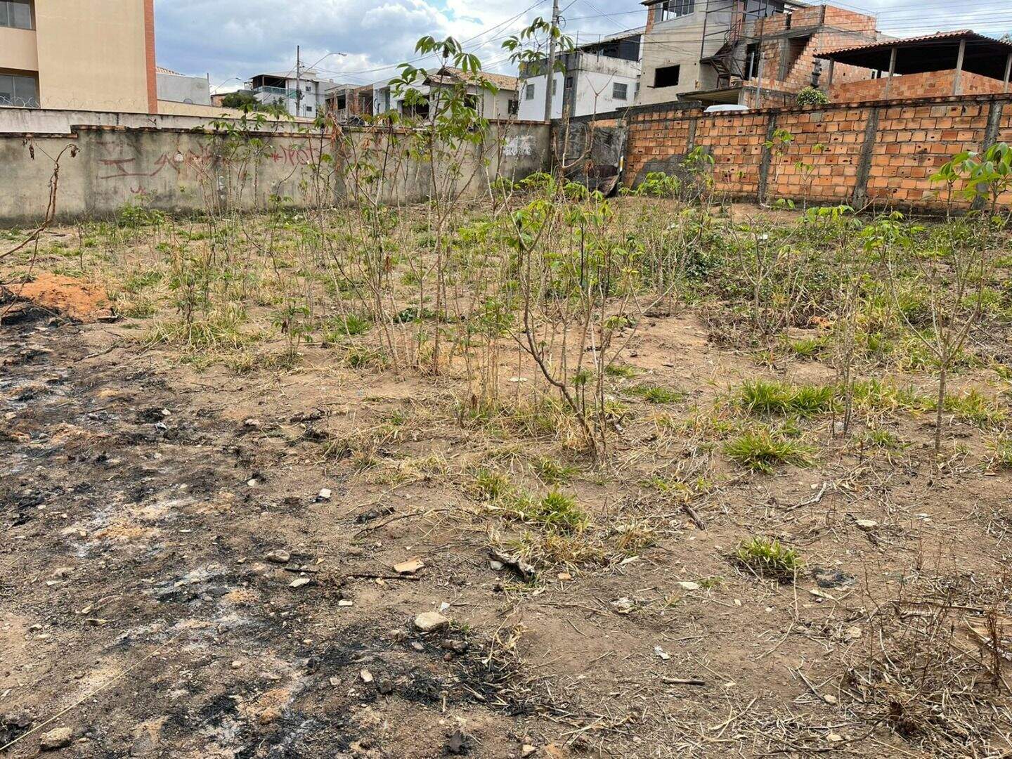 Terreno / Área à venda no Xangrilá: 