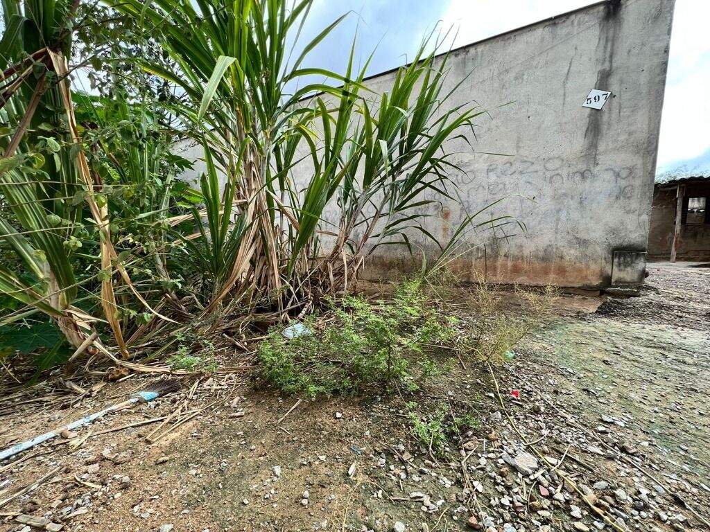 Terreno / Área à venda no Manacás: 