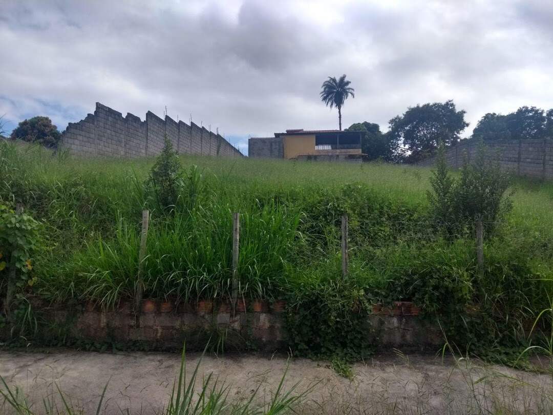 Terreno / Área à venda no Enseada Das Garças: 