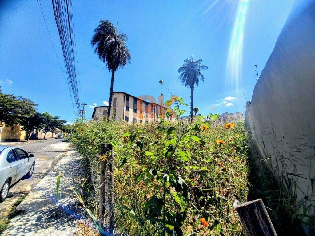 Terreno / Área à venda no Serrano: 