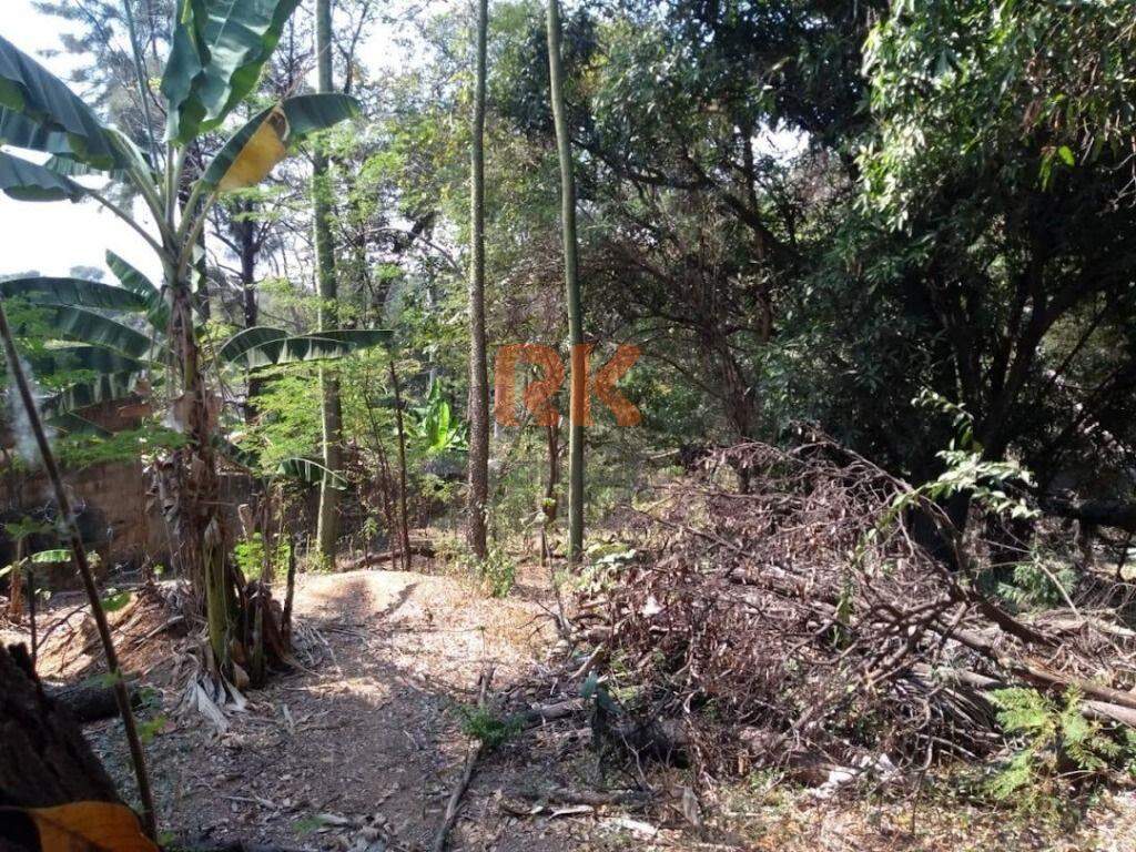 Terreno / Área à venda no Garças: 