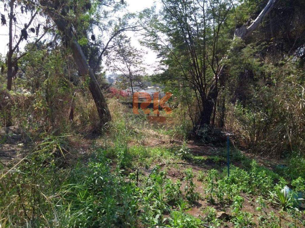 Terreno / Área à venda no Garças: 