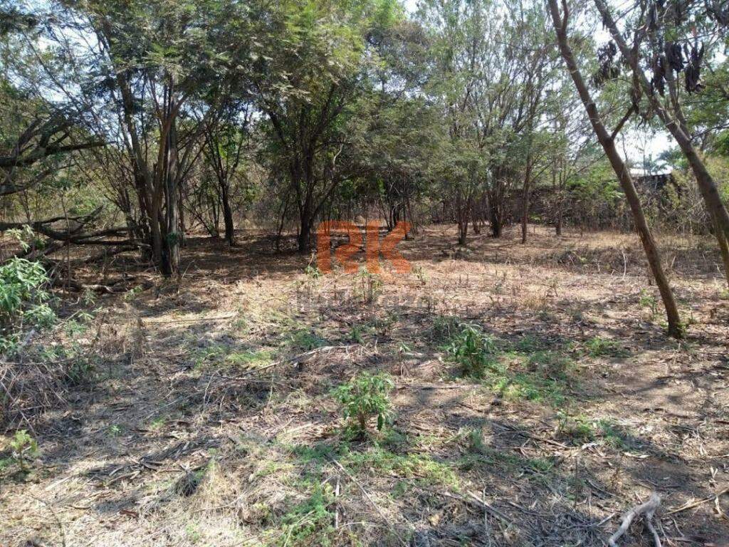 Terreno / Área à venda no Garças: 