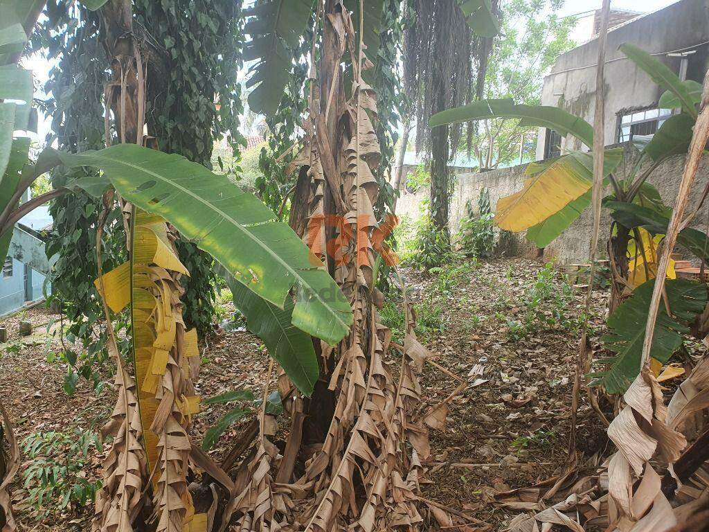 Terreno / Área à venda no Xangrilá: 