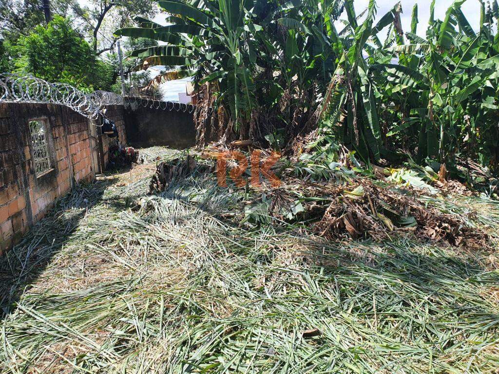 Terreno / Área à venda no São Luiz: 