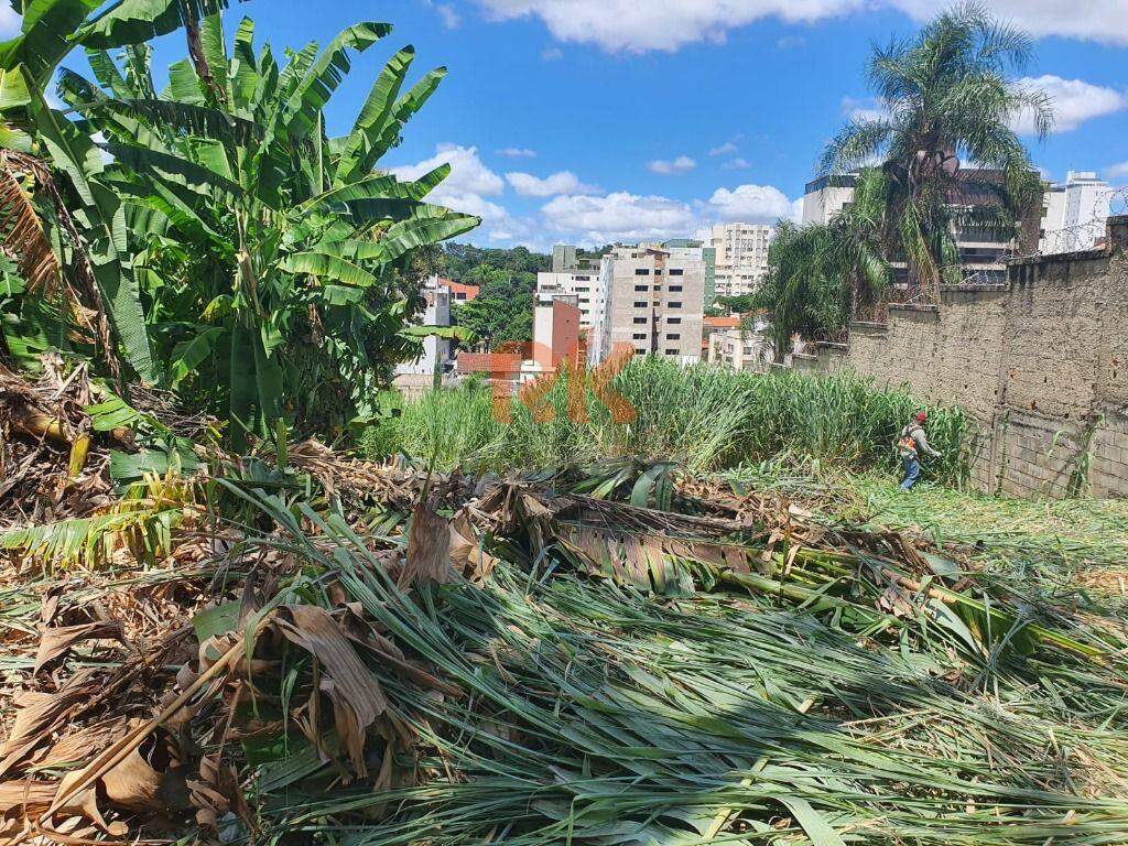 Terreno / Área à venda no São Luiz: 