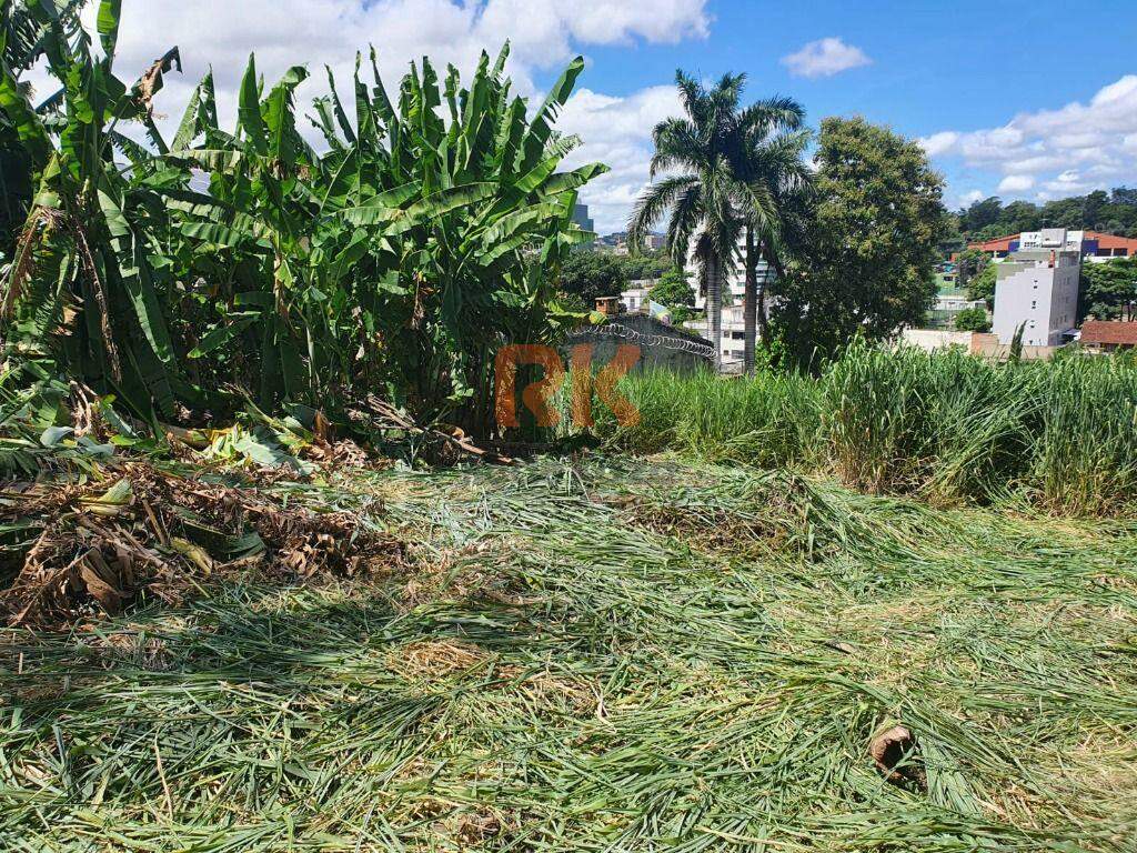 Terreno / Área à venda no São Luiz: 