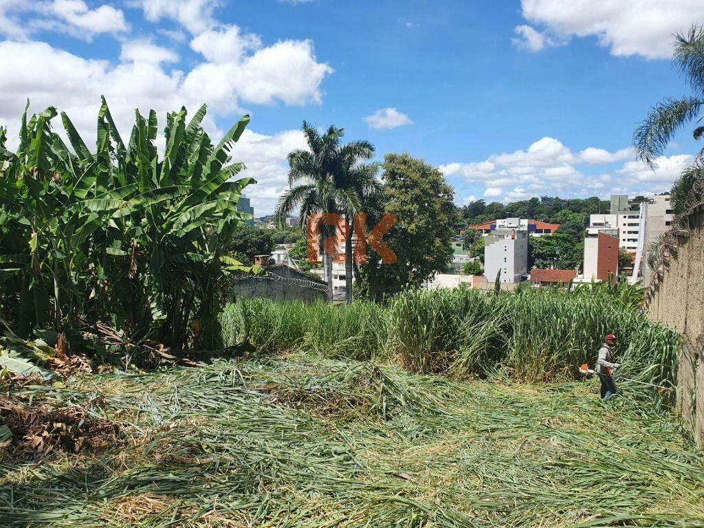 Terreno / Área à venda no São Luiz: 