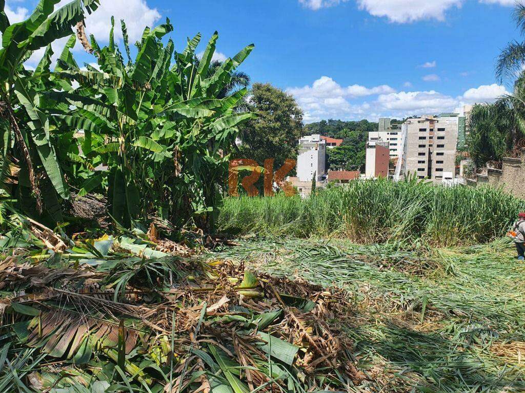 Terreno / Área à venda no São Luiz: 