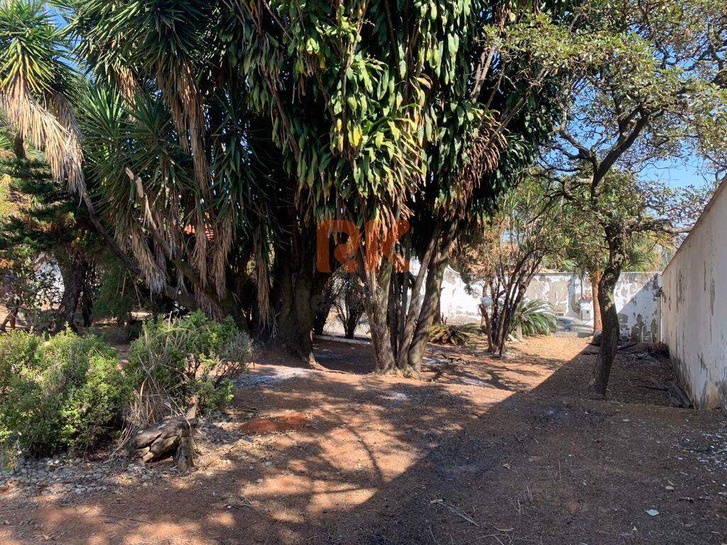 Terreno / Área à venda no Bandeirantes: 