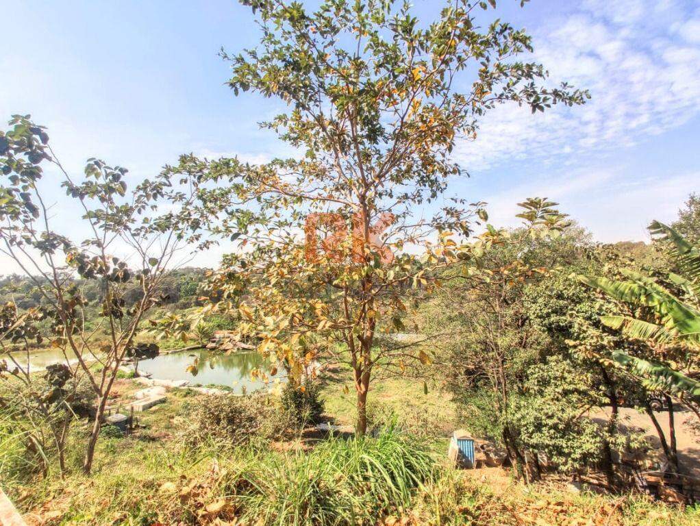 Terreno / Área à venda no Braúnas: 