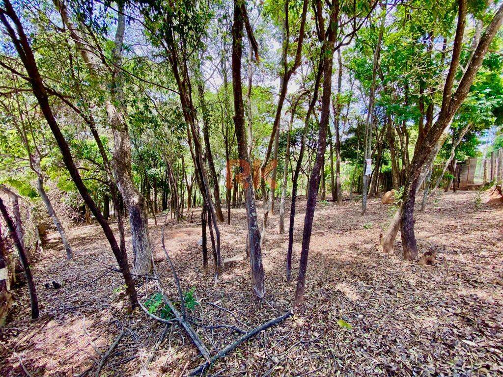 Terreno / Área à venda no Chácaras Cotia: 