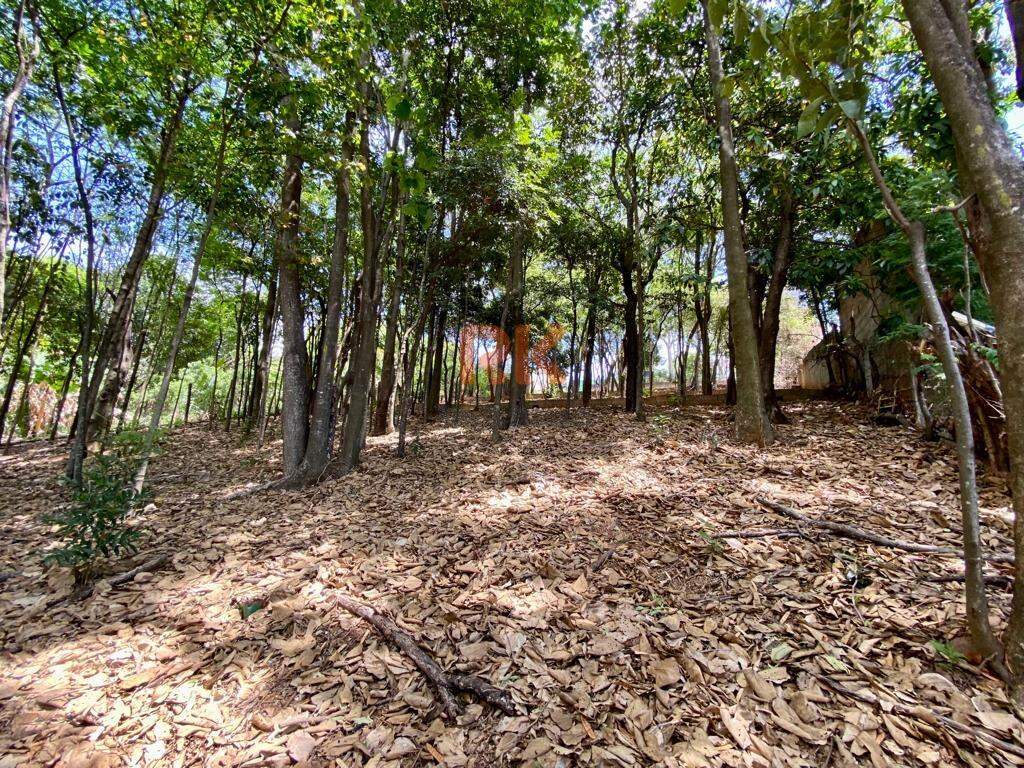 Terreno / Área à venda no Chácaras Cotia: 