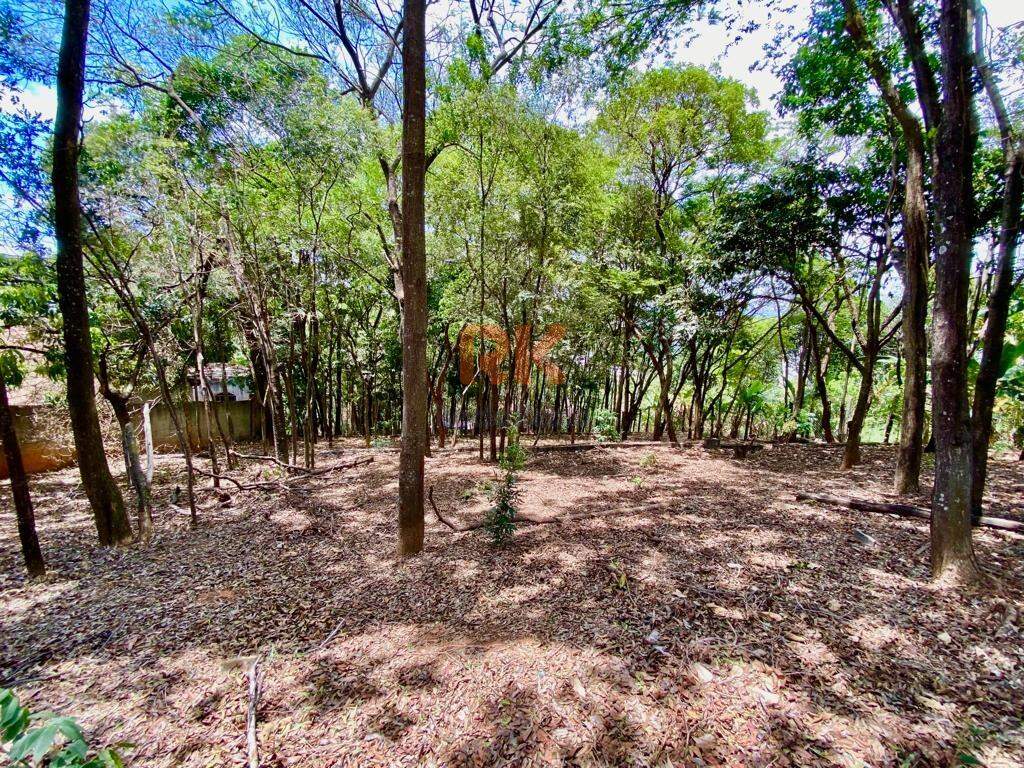 Terreno / Área à venda no Chácaras Cotia: 