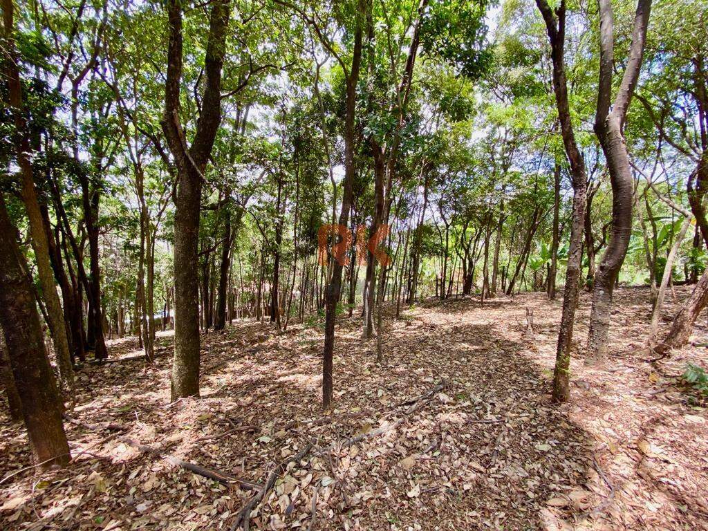 Terreno / Área à venda no Chácaras Cotia: 