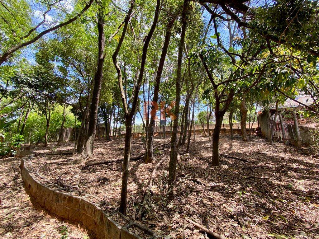 Terreno / Área à venda no Chácaras Cotia: 