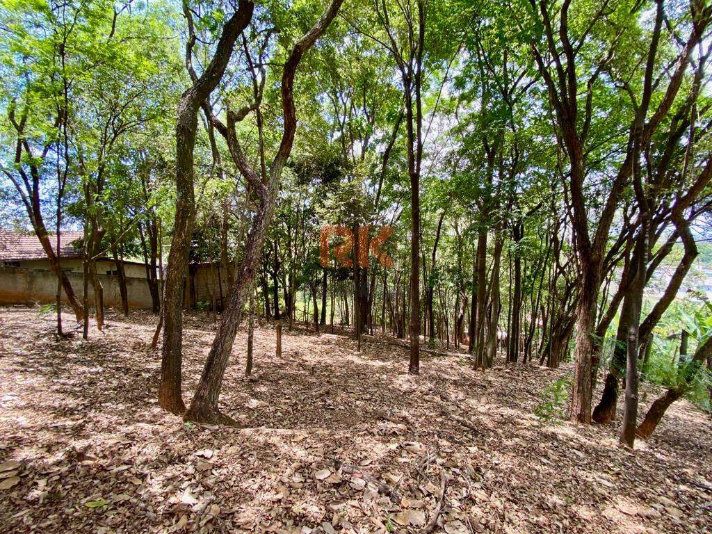 Terreno / Área à venda no Chácaras Cotia: 