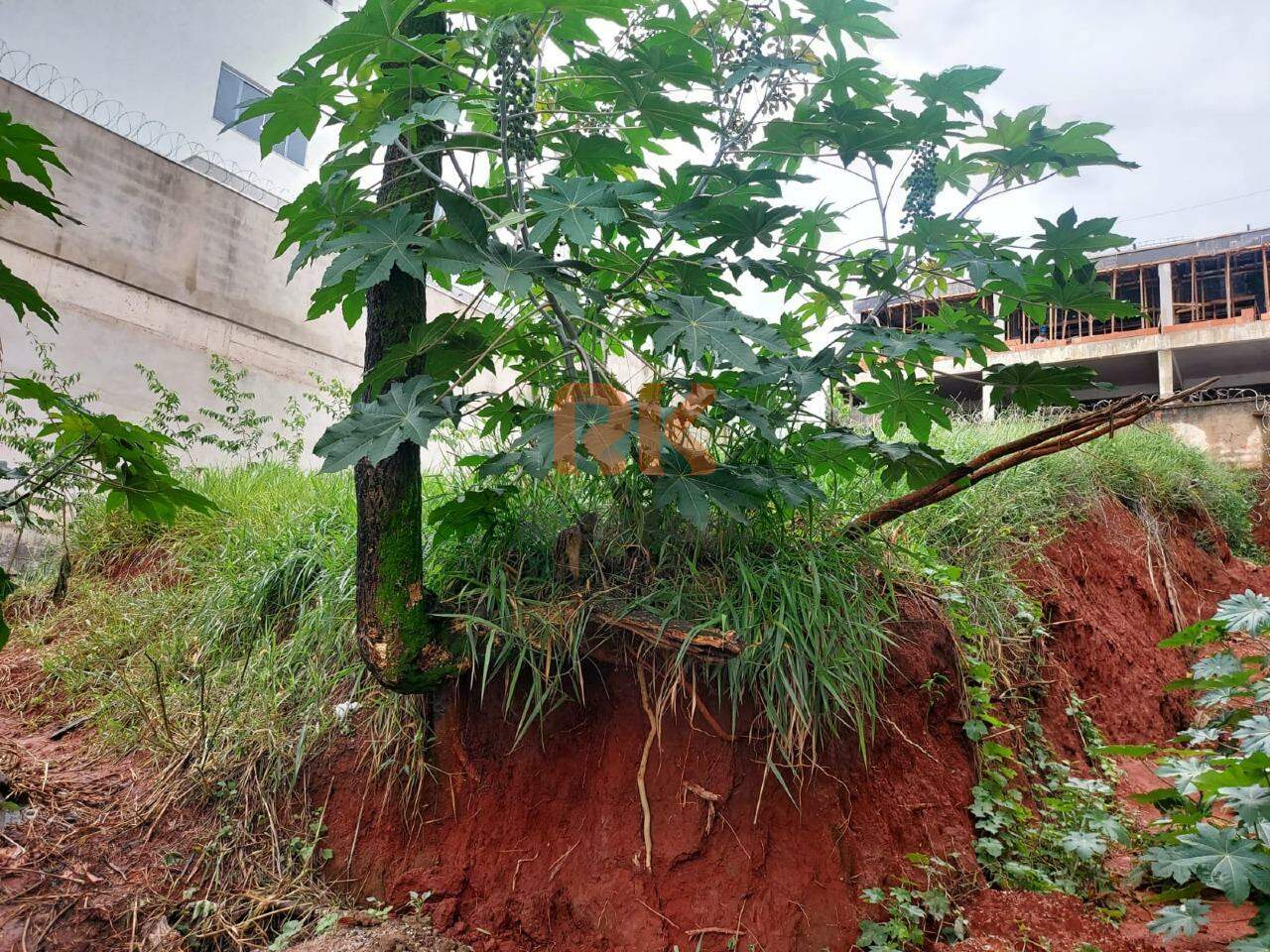 Terreno / Área à venda no Manacás: 