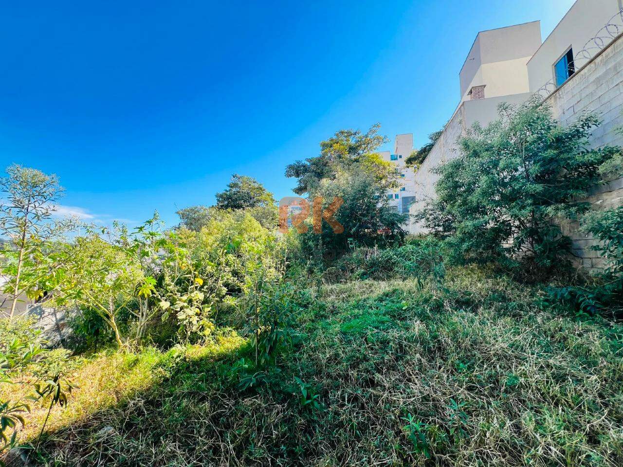 Lote à venda no Cabral: 