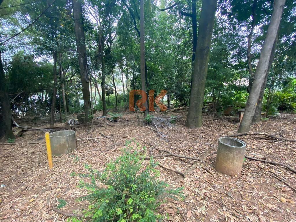 Lote à venda no São Luiz: 