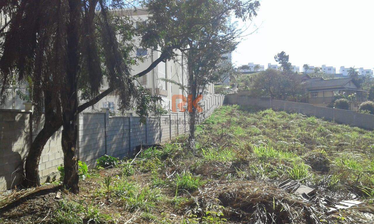 Terreno / Área à venda no Chácaras Cotia: 