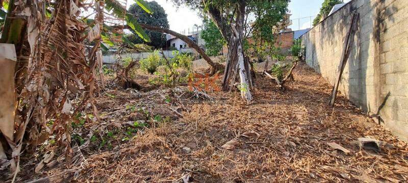 Lote à venda no São Luiz: 