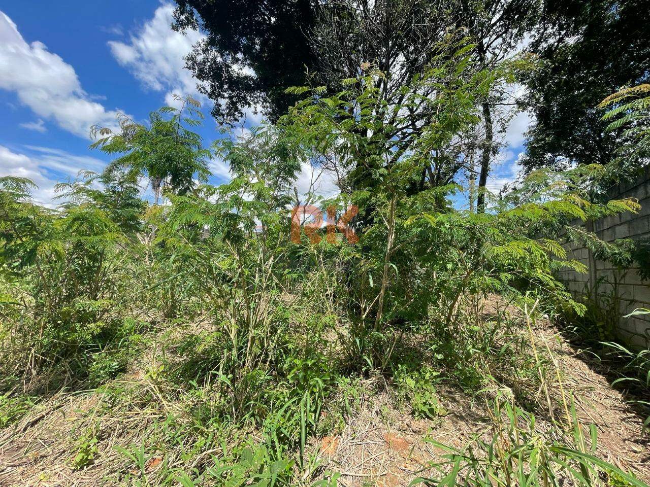 Lote à venda no Chácaras Cotia: 