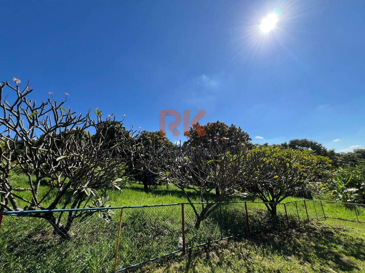 Terreno / Área à venda no Ouro Preto: 