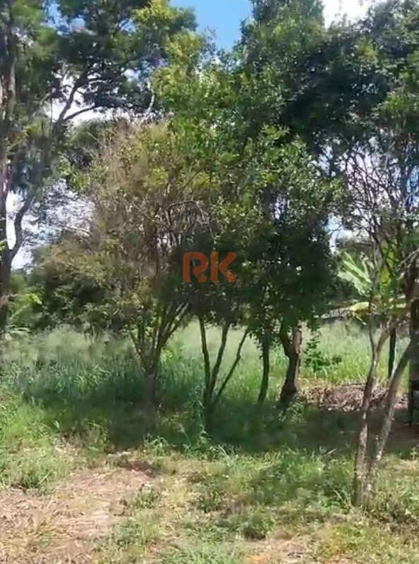 Terreno / Área à venda no Garças: 