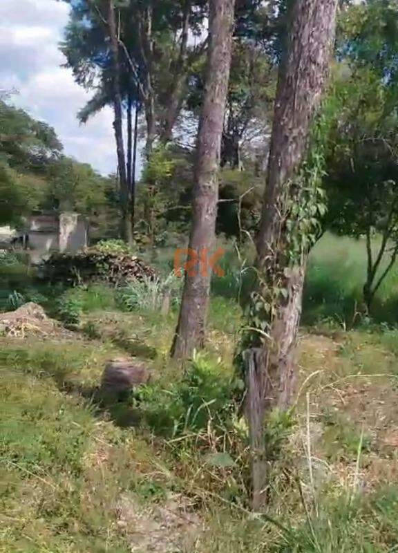 Terreno / Área à venda no Garças: 