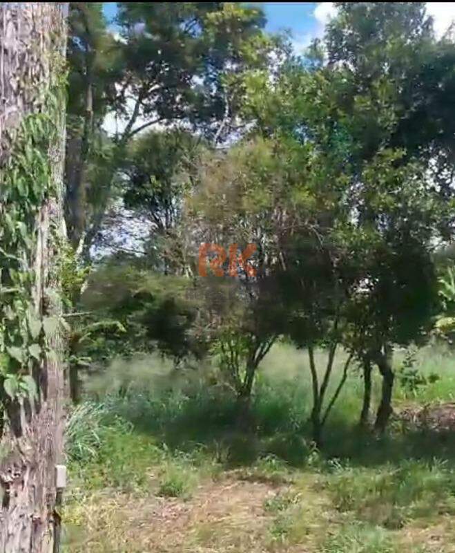 Terreno / Área à venda no Garças: 