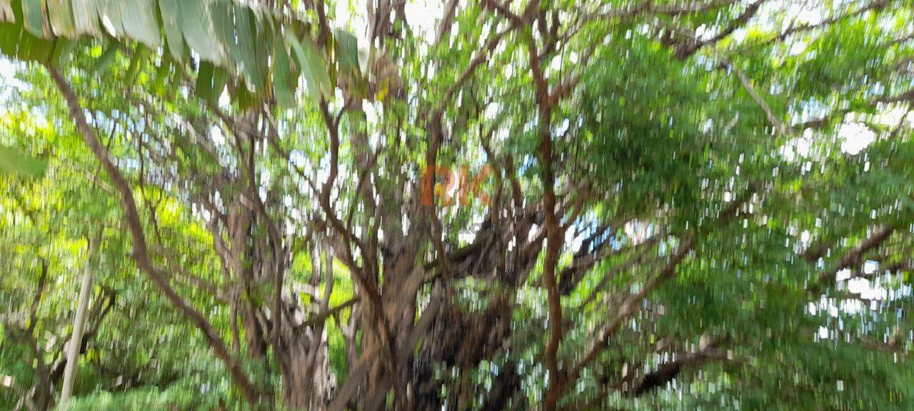 Lote à venda no Braúnas: 