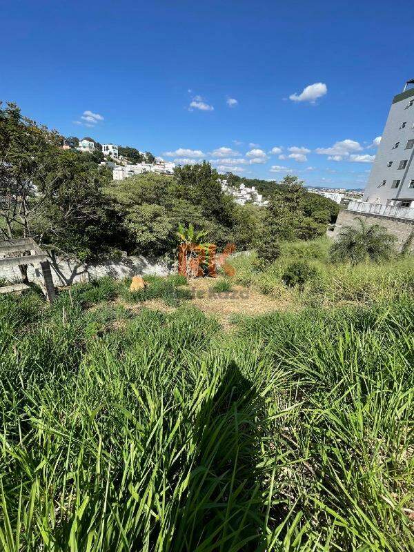 Lote à venda no Cabral: 