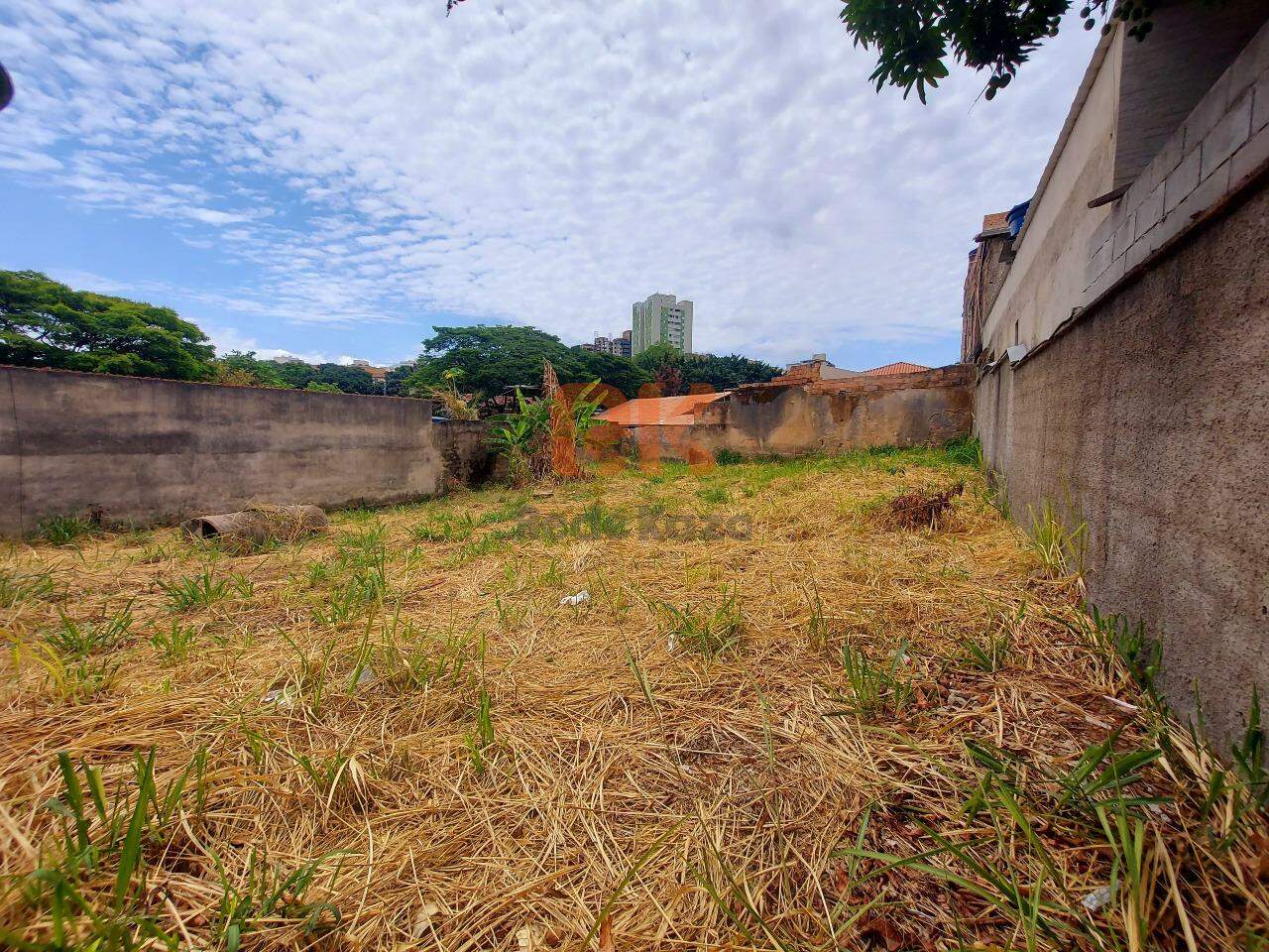 Terreno / Área à venda no Paquetá: 