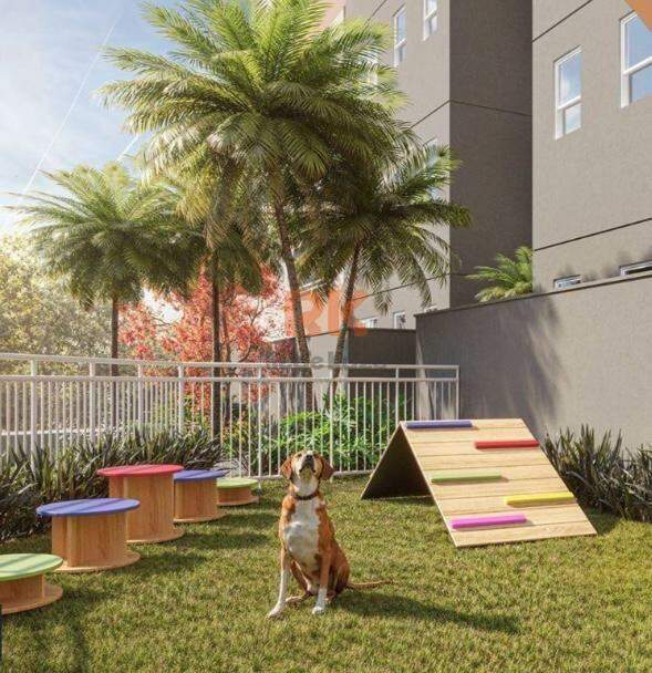 Apartamento à venda no Santa Amélia: 