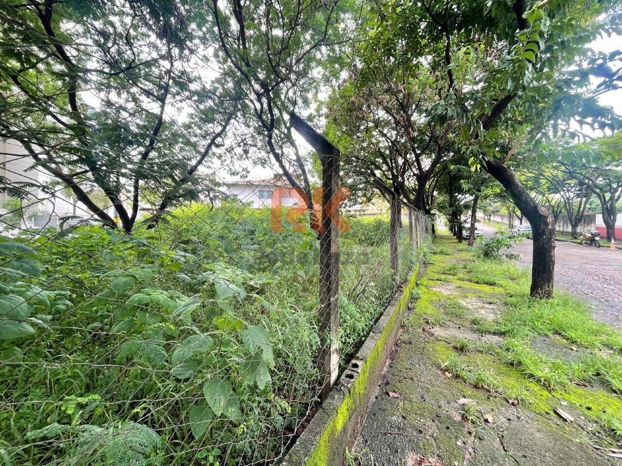 Terreno / Área para aluguel no Castelo: 