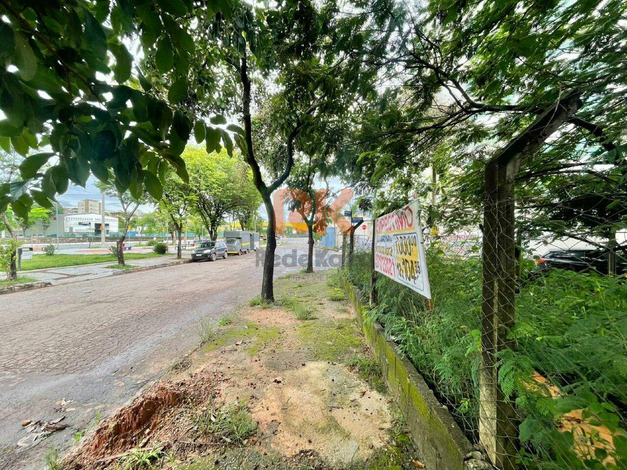 Terreno / Área para aluguel no Castelo: 