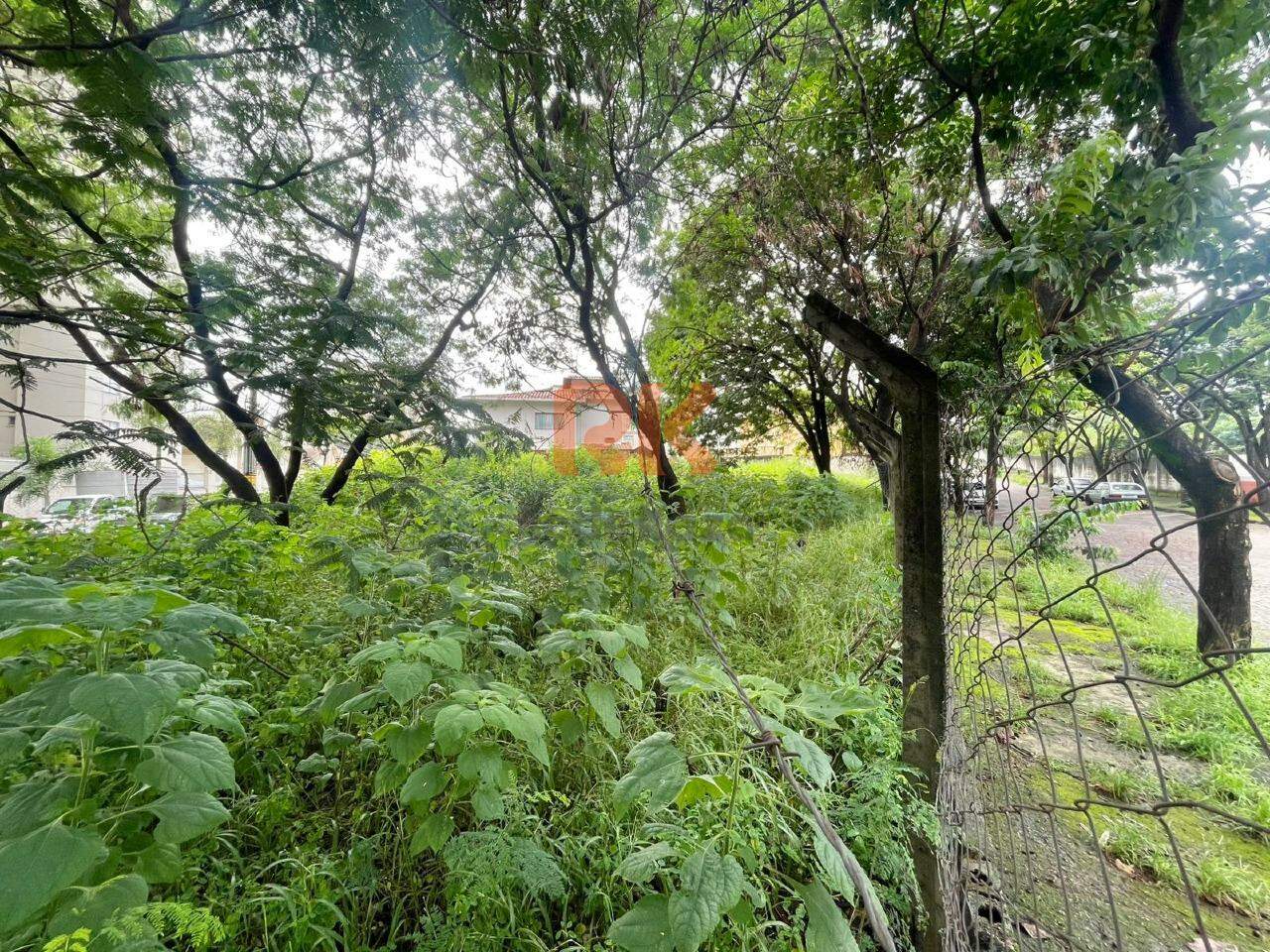 Terreno / Área para aluguel no Castelo: 